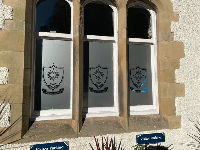 Etch vinyl on window