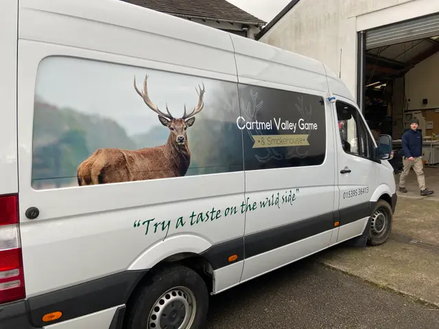 Van side graphics