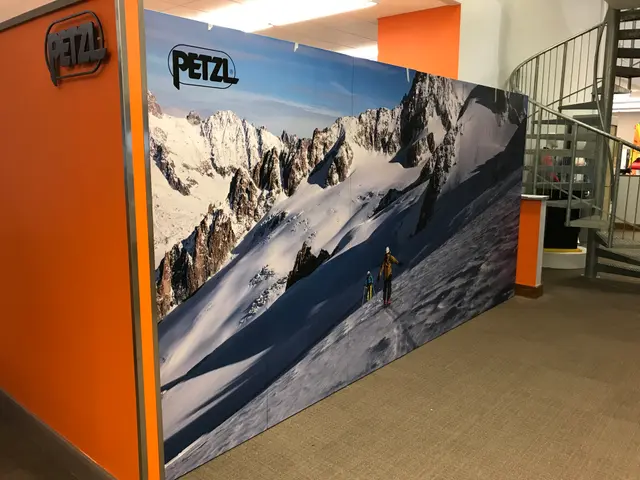Wall vinyl